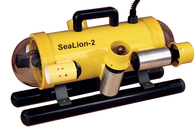 SeaLion-2