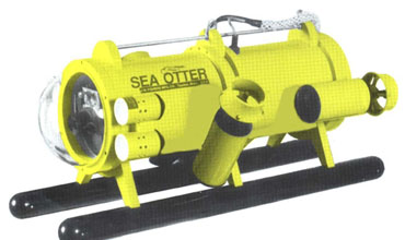 SeaOtter-2